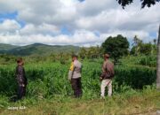 Perhatian Polri untuk Petani Lombok Barat: Edukasi dan Pendampingan Langsung