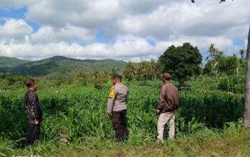 Perhatian Polri untuk Petani Lombok Barat: Edukasi dan Pendampingan Langsung