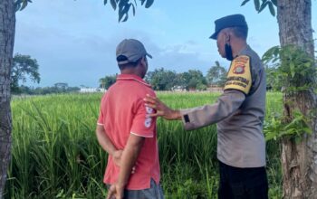 Ketahanan Pangan Dimulai dari Desa Kuripan: Polisi Turun Tangan