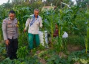 Bhabinkamtibmas Kuripan Utara Dukung Ketahanan Pangan Lokal