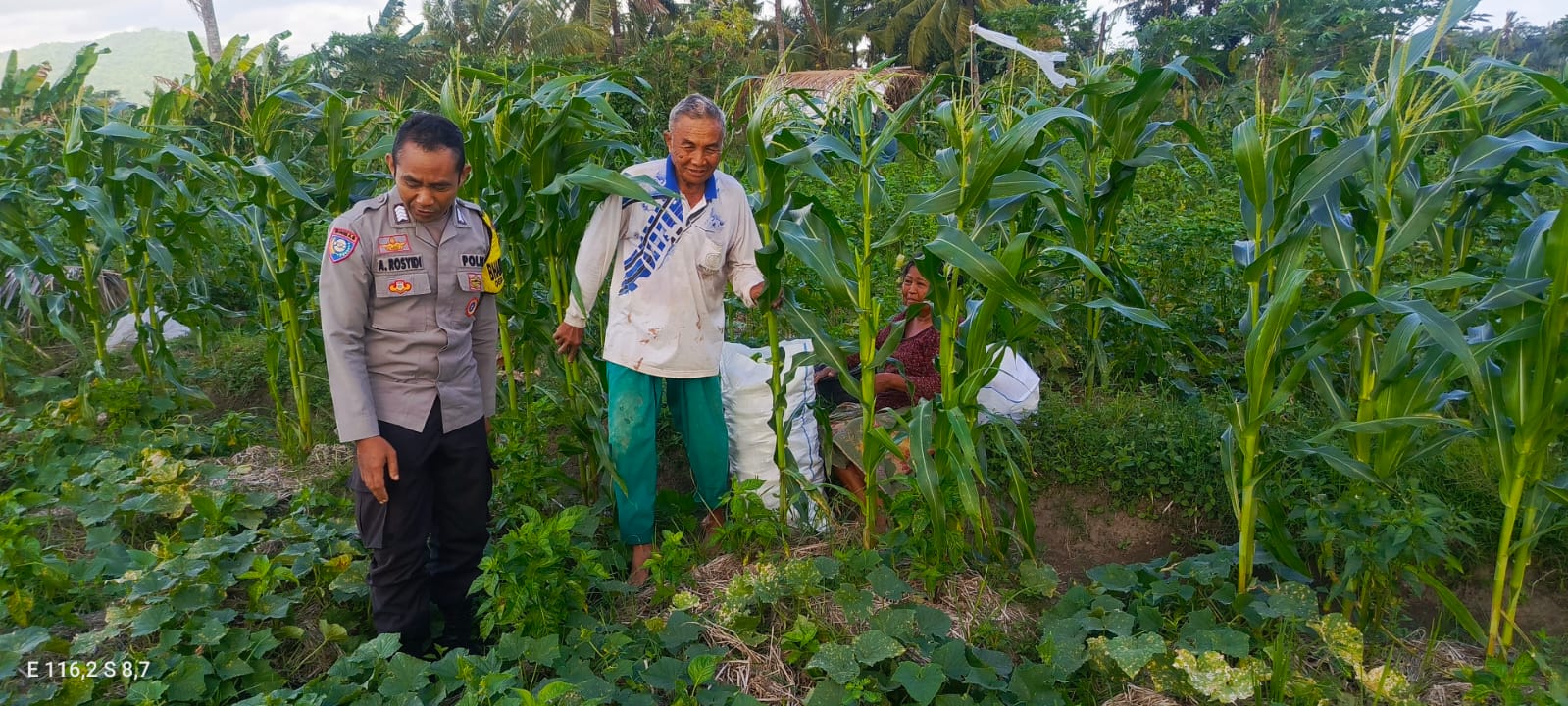 Bhabinkamtibmas Kuripan Utara Dukung Ketahanan Pangan Lokal