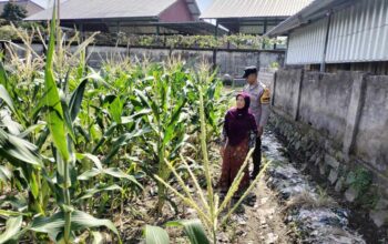 Bhabinkamtibmas Labuapi Dorong Pemanfaatan Lahan Demi Ketahanan Pangan