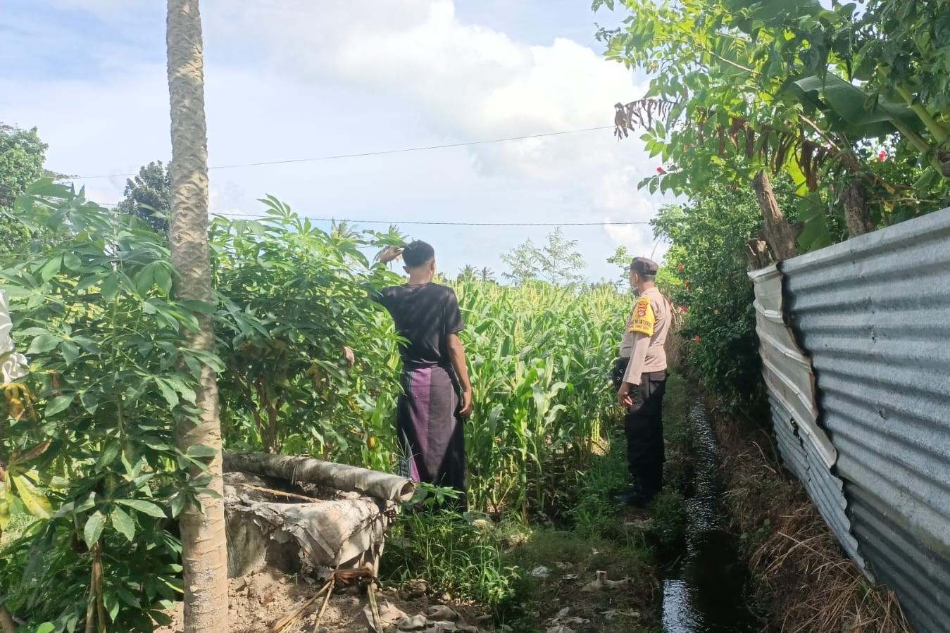 Jagung Bonanza dan Peran Polri dalam Ketahanan Pangan
