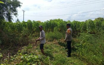 Bhabinkamtibmas Sekotong Barat Dukung Ketahanan Pangan Warga