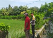 Bhabinkamtibmas Sekotong Dukung Swasembada Pangan di Batu Putih