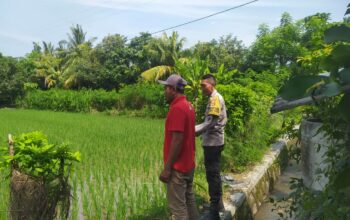 Bhabinkamtibmas Sekotong Dukung Swasembada Pangan di Batu Putih