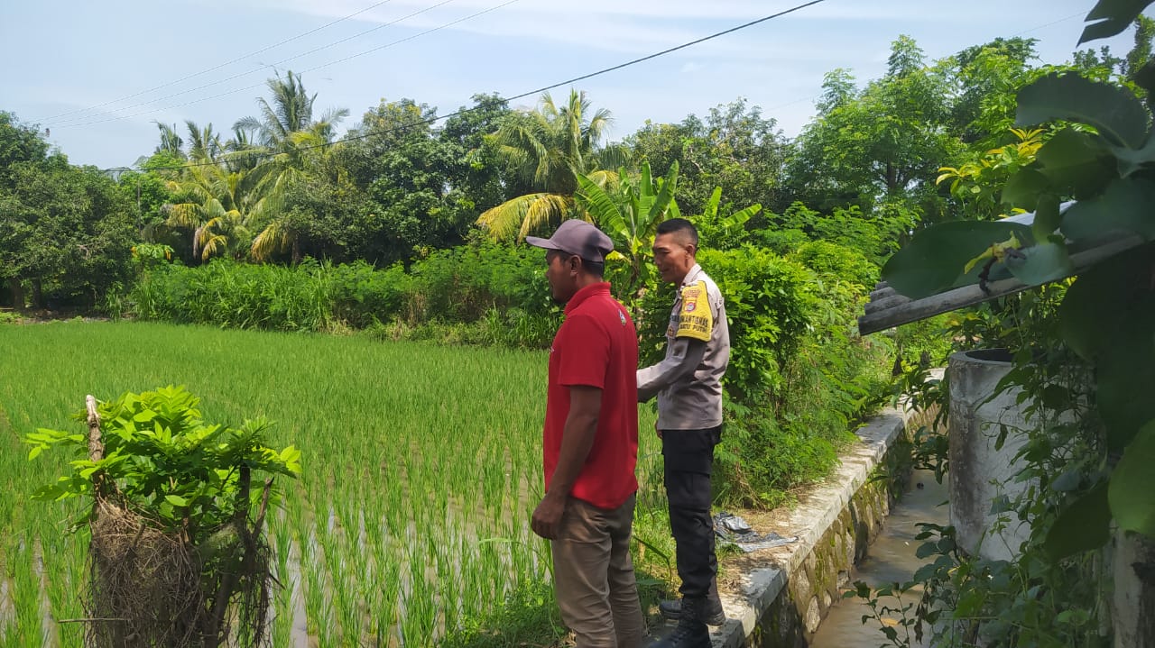 Bhabinkamtibmas Sekotong Dukung Swasembada Pangan di Batu Putih