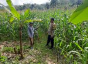 Bhabinkamtibmas Sekotong Timur Dampingi Petani Dukung Ketahanan Pangan