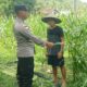 Optimalisasi Lahan Warga, Bhabinkamtibmas di Sekotong Dorong Swasembada