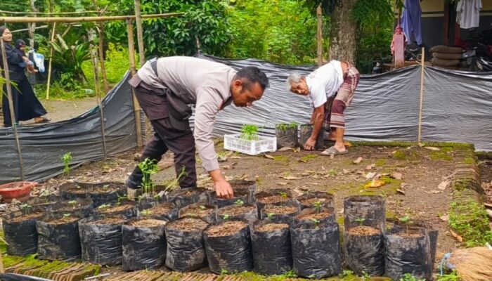 Ketahanan Pangan Dimulai dari Pekarangan: Inisiatif Polri di Kuripan