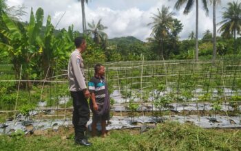 Dukung Ketahanan Pangan, Polri Aktif di Desa Batu Putih