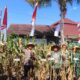 Polres Lombok Utara Gelar Panen Raya Jagung Serentak Nasional di Mapolsek Gangga