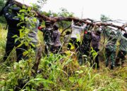 Sinergi Penjaga Rimba: TNI, BTN, Polri Bersatu Lindungi Hutan Tambora