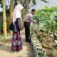 Aksi Bhabinkamtibmas Pagesangan: Dukung Ketahanan Pangan Melalui Pekarangan Bergizi Warga