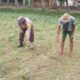 Ketahanan Pangan Lokal, Inisiatif Bhabinkamtibmas di Lombok Barat