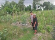 Kolaborasi Warga dan Polisi Dorong Pemanfaatan Pekarangan di Labuapi