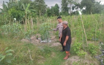 Kolaborasi Warga dan Polisi Dorong Pemanfaatan Pekarangan di Labuapi