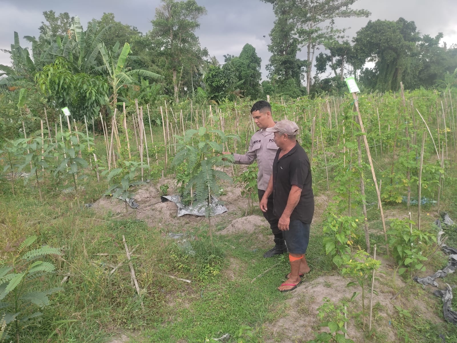 Kolaborasi Warga dan Polisi Dorong Pemanfaatan Pekarangan di Labuapi