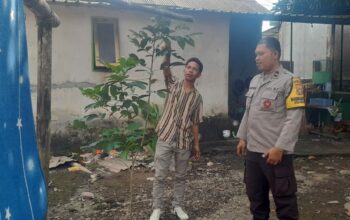 Kuripan Selatan Gerakkan Pekarangan Mandiri untuk Ketahanan Pangan