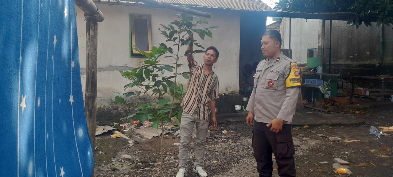 Kuripan Selatan Gerakkan Pekarangan Mandiri untuk Ketahanan Pangan