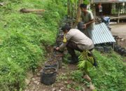 Membangun Ketahanan Pangan dari Pekarangan Rumah, Kisah Inspiratif dari Desa Batulayar (1)