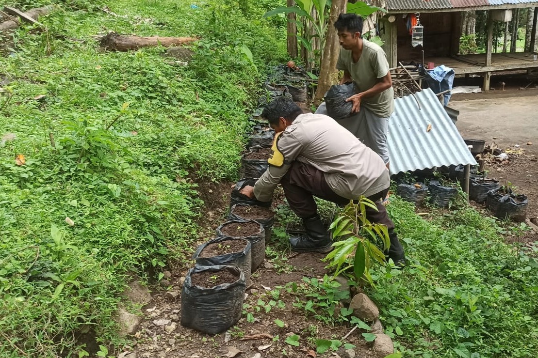 Membangun Ketahanan Pangan dari Pekarangan Rumah, Kisah Inspiratif dari Desa Batulayar (1)