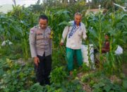 Sinergi Polri dan Petani Dusun Grepek Perkuat Program Ketahanan Pangan Nasional