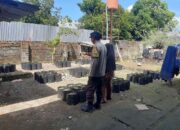 Pekarangan Bergizi Jadi Solusi Ketahanan Pangan di Desa Montong Are