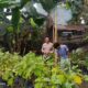 Pemuda Pesongoran Bergerak Wujudkan Kemandirian Pangan
