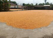 Pengawasan Gudang Jagung oleh Polsek Gerung Dukung Program Pangan