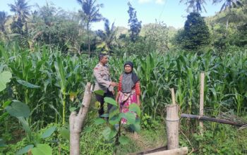 Peran Bhabinkamtibmas Desa Sekotong Timur dalam Program Pangan Nasional