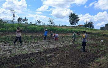 Bhabinkamtibmas Sekotong Aktif Dukung Ketahanan Pangan