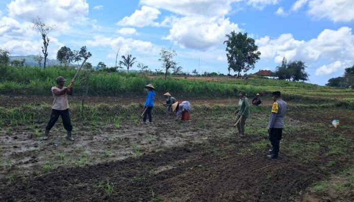 Bhabinkamtibmas Sekotong Aktif Dukung Ketahanan Pangan