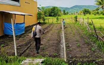 Polri Aktif di Ladang Petani Kediri, Dorong Kesejahteraan dan Ketahanan Pangan