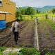 Bhabinkamtibmas Kediri Dukung Petani Wujudkan Ketahanan Pangan