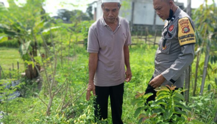Bhabinkamtibmas Kuripan Ajak Warga Manfaatkan Pekarangan