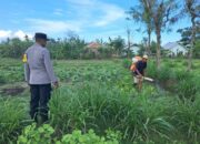 Polri Dorong Pertanian Produktif di Desa Pelangan, Sekotong