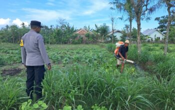 Polri Dorong Pertanian Produktif di Desa Pelangan, Sekotong