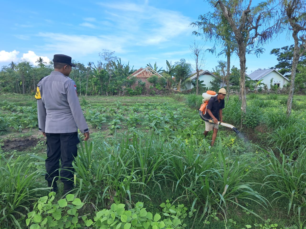 Polri Dorong Pertanian Produktif di Desa Pelangan, Sekotong