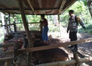 Polri Dorong Swasembada Pangan di Batulayar Barat