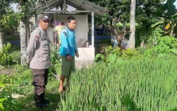 Polri Perkuat Swasembada Pangan di Desa Montong Are