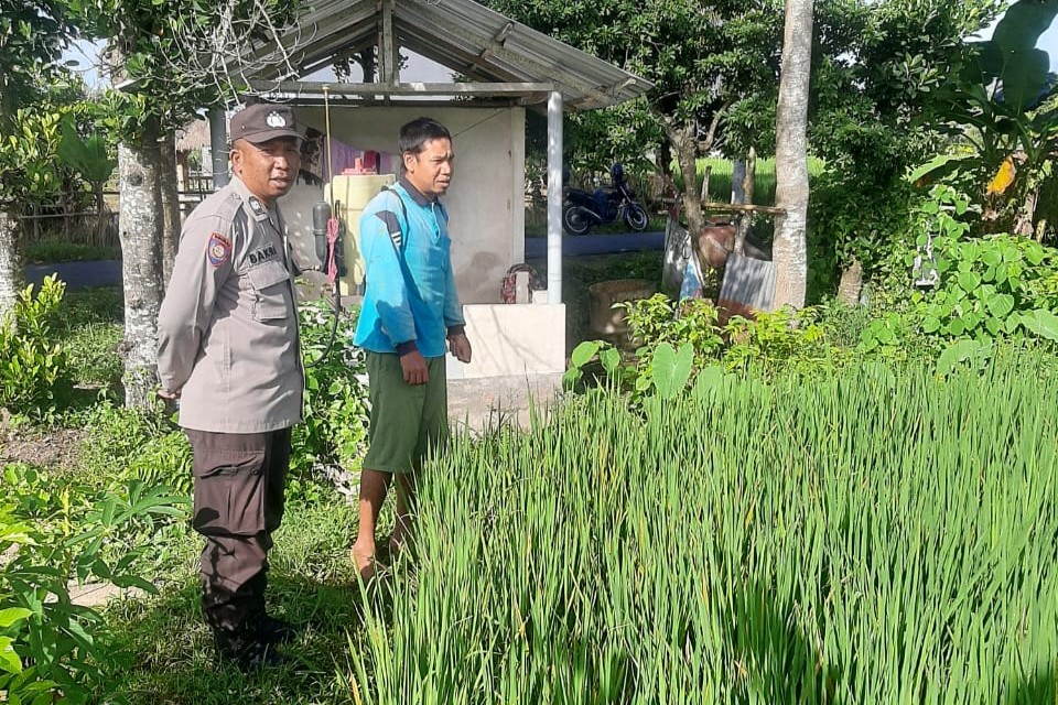 Polri Perkuat Swasembada Pangan di Desa Montong Are