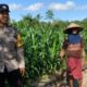 Polri Sambangi Petani Aik Ampat, Perkuat Ketahanan Pangan Lokal