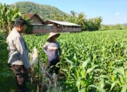 Polri dan Petani Bersinergi Wujudkan Ketahanan Pangan di Lembar, Lombok Barat