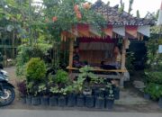 Pekarangan Jadi Lumbung Pangan: Inisiatif Polsek Kuripan di Lombok Barat