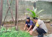 Ketahanan Pangan Dimulai dari Pekarangan: Inisiatif di Dusun Batusamban