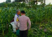 Polisi Sambangi Petani Mentimun di Lombok Barat