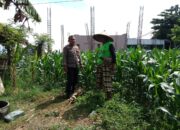 Dukung Ketahanan Pangan, Polisi Ajak Petani Manfaatkan Lahan Kosong