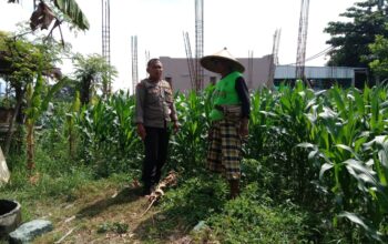 Dukung Ketahanan Pangan, Polisi Ajak Petani Manfaatkan Lahan Kosong