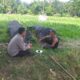 Bhabinkamtibmas Lembar Dampingi Petani Jagung dan Cabai